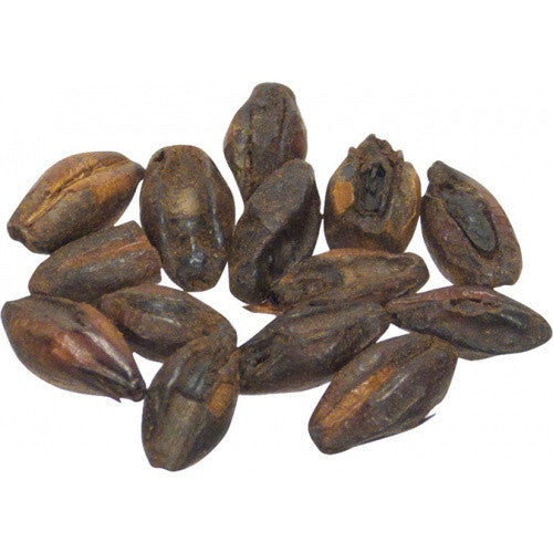 Chocolate Malt - pilot-brewing-supply.myshopify.com