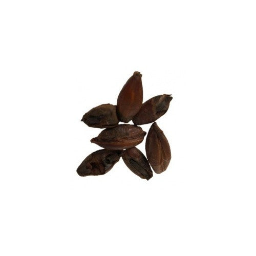 Roasted Barley - pilot-brewing-supply.myshopify.com