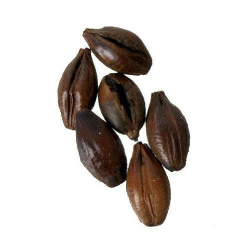 Black Patent Malt - pilot-brewing-supply.myshopify.com