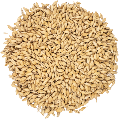 Admiral Maltings Gallagher's Best Pale Malt