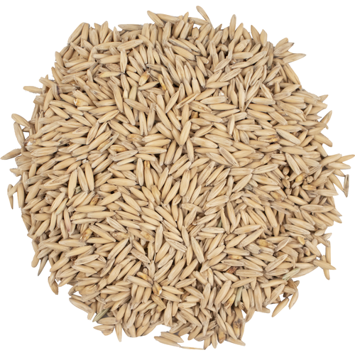Oat Malt