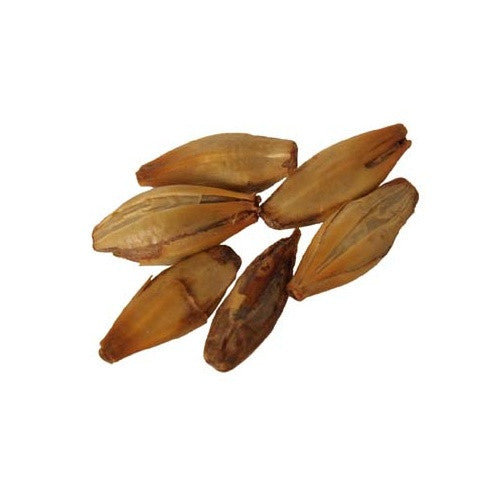 Special Bu00ae - pilot-brewing-supply.myshopify.com