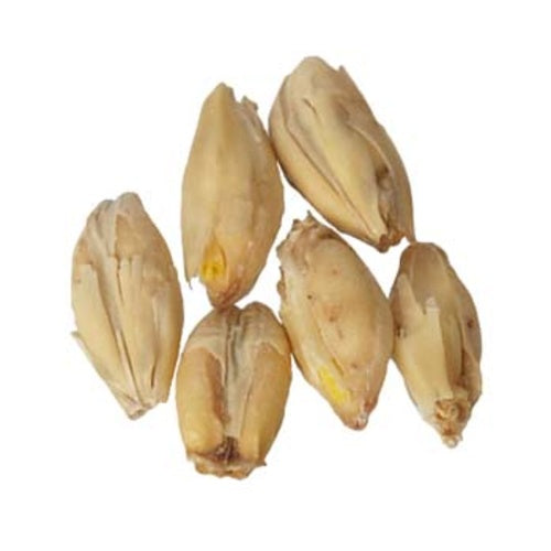 UK Golden Promise Pale Malt