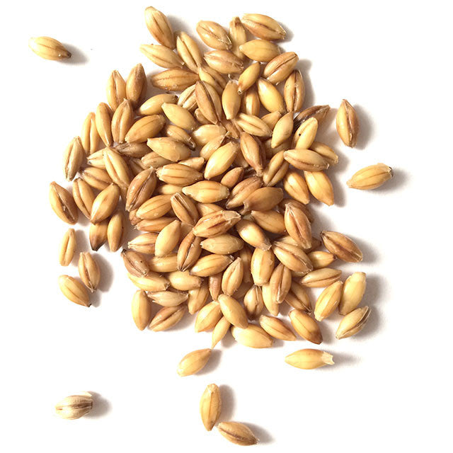 2 Row Brewers Malt - pilot-brewing-supply.myshopify.com