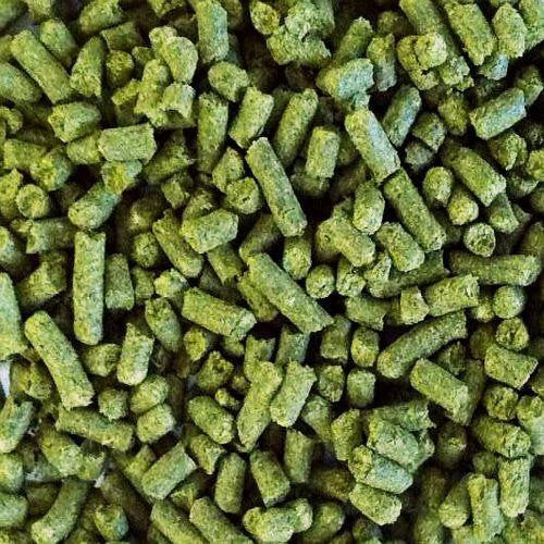 Columbus pilot brewing supply.myshopify.com