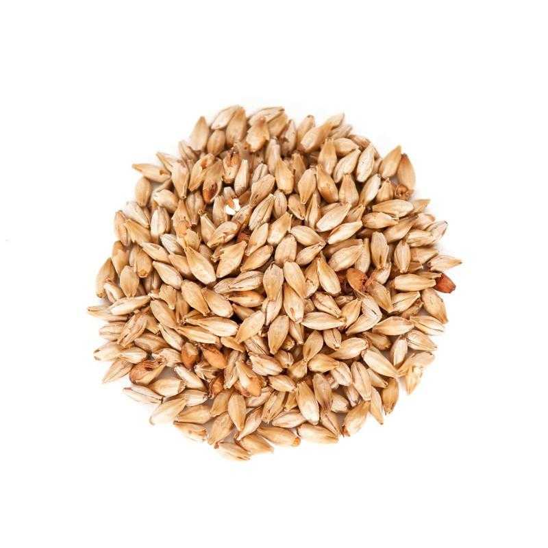 German Munich - pilot-brewing-supply.myshopify.com
