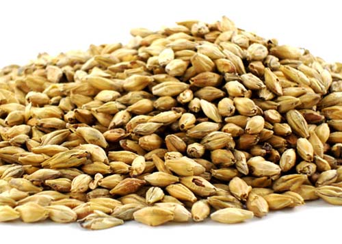 Red X® Malt